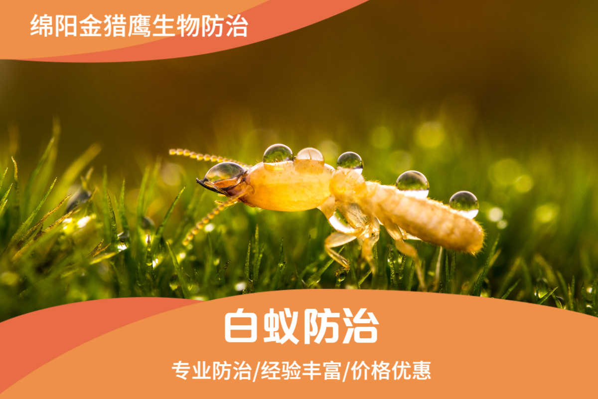 白蚁防治