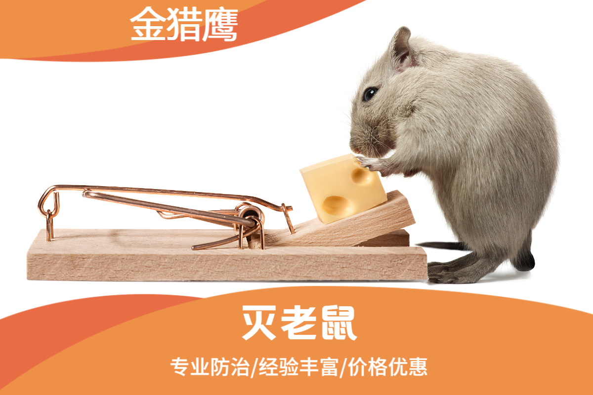 灭老鼠