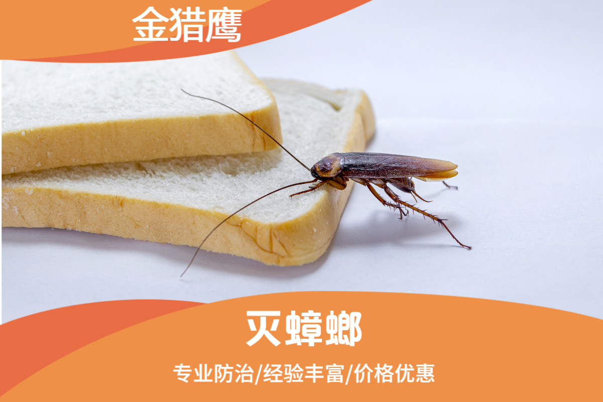 灭蟑螂