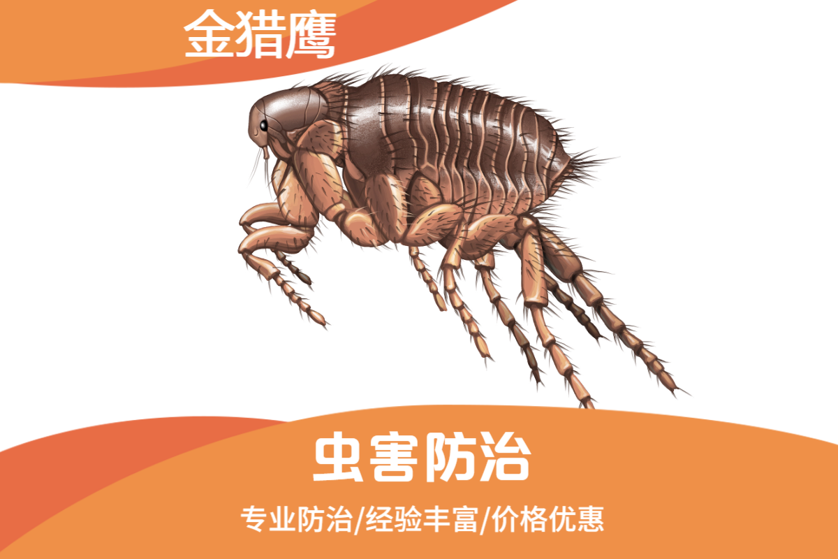 灭跳蚤
