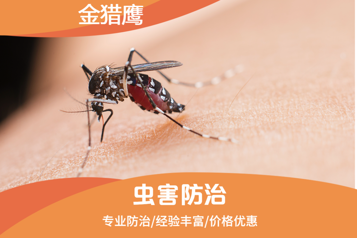 虫害防治