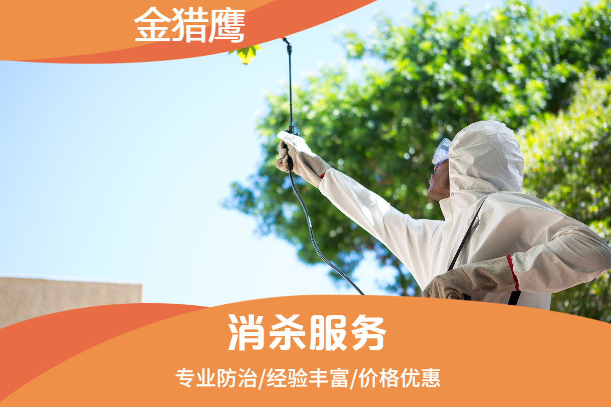 消杀服务