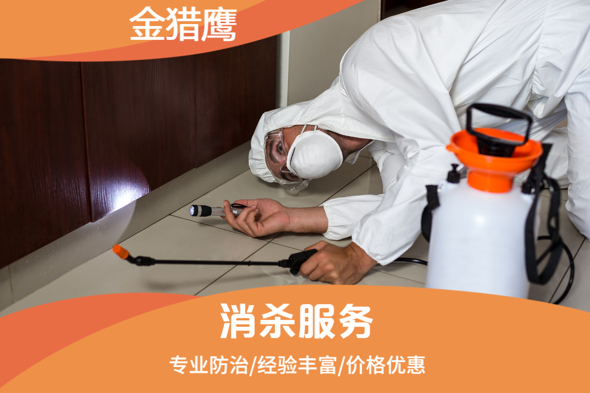 消杀服务